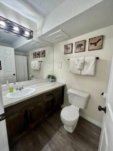 a bathroom with a toilet and a sink at Nakiska, 2 Bed 1 Bath with Mtn Views in Canmore