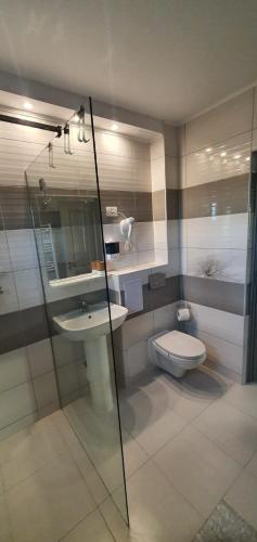 a bathroom with a toilet and a glass shower at Casa Valentin in Corbu