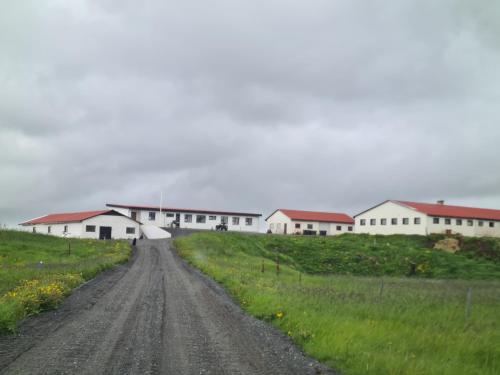 a dirt road in a field with white buildings at Summer house - Fíflholt in Hvolsvöllur