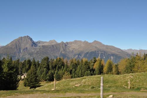 a field with trees and mountains in the background at Hotel Ristorante Franca in Tovo di Sant'Agata