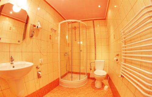 Zielona Żabka في بولانكسيك: حمام مع دش ومرحاض ومغسلة