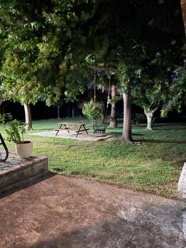 a swing in a park with trees and grass at Mama’s Sunshine Garden Villa in Áyios Ilías
