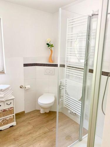 a bathroom with a toilet and a glass shower at Kuckuckswinkel Ferienwohnung Zarah in Schöna