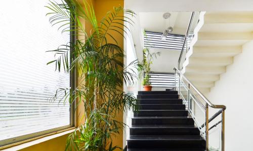a staircase in a house with plants at Itsy Hotels Platinum Inn in Chacka