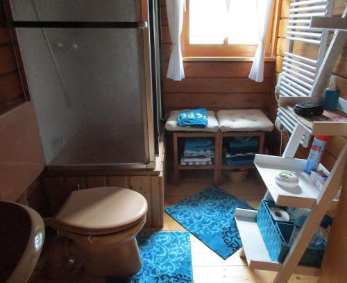 uma pequena casa de banho com WC e lavatório em Ferienhaus Eulennest em Hilders