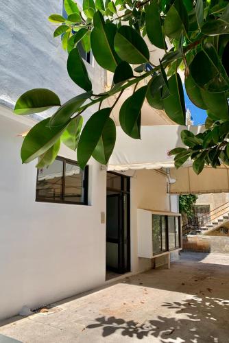 DownTown Apartments