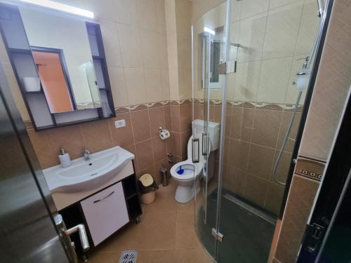 a bathroom with a toilet and a sink and a shower at Vila Ana in Băile Govora
