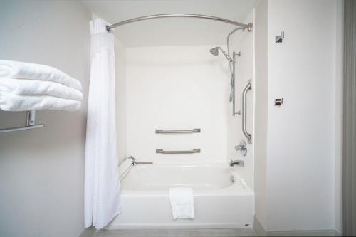 A bathroom at Holiday Inn Express and Suites Atlanta-Johns Creek, an IHG Hotel