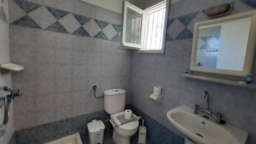La salle de bains est pourvue de toilettes, d'un lavabo et d'un miroir. dans l'établissement Syraino, à Kolios