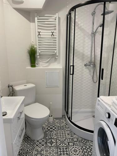 uma casa de banho com um chuveiro, um WC e um lavatório. em Małe Pieniny em Szczawnica