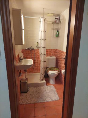 een badkamer met een toilet en een wastafel bij Κλινάρι in Xanthi