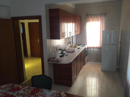 Kuchyň nebo kuchyňský kout v ubytování Apartman-Fenix