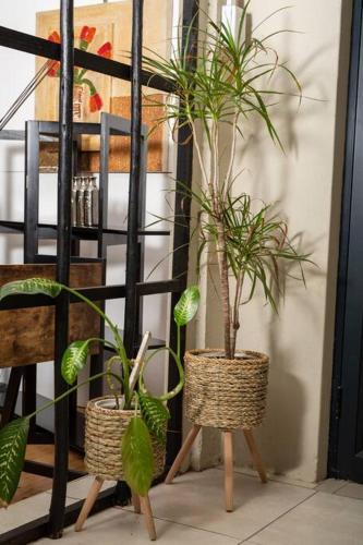 two potted plants in baskets sitting next to a staircase at HomeSweetHome Farm Cottage in Nelspruit