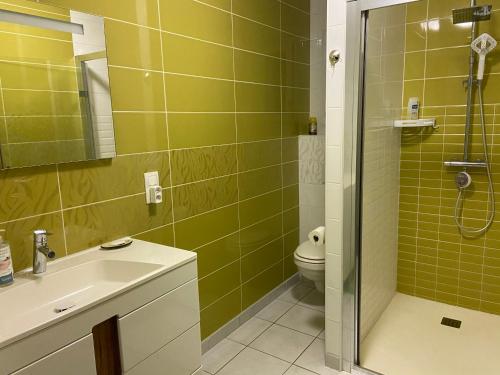 een badkamer met een wastafel, een douche en een toilet bij La halte chambre chez l habitant in Bonnes
