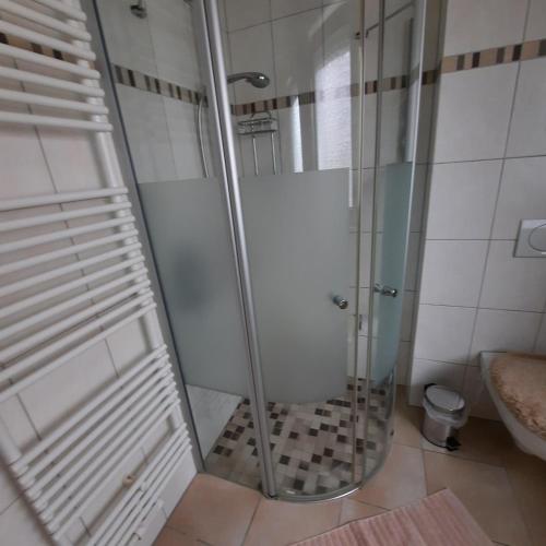 a shower with a glass door in a bathroom at Lütke-Dörhoff in Ennigerloh