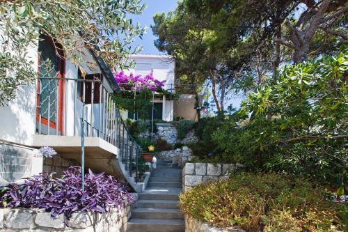 Apartments Cvjetan