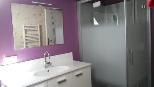 uma casa de banho com um lavatório, um espelho e um chuveiro em Gîte Dodo Lé La em Saint-Aignan