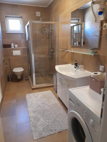 a bathroom with a shower sink and a washing machine at Elite Apartment Jasmina in Bihać