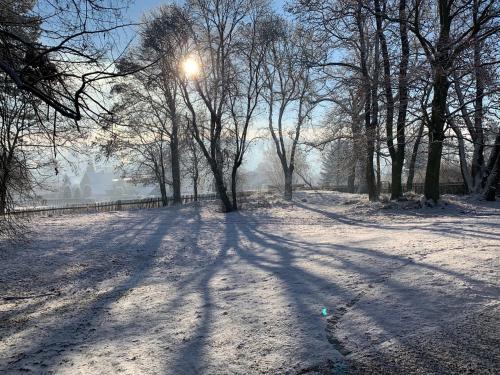 a snow covered field with trees and the sun shining at Vila Bohemia Saxon Switzerland & SPA in Šluknov