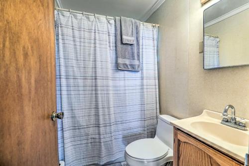 a bathroom with a toilet and a sink and a shower at Kayaks and Grill Pet-Friendly Mecosta Cottage! in Mecosta