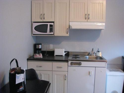 a small kitchen with a sink and a microwave at Le Citadin in Rouyn