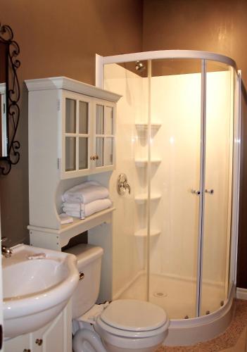 a bathroom with a shower and a toilet and a sink at Le Citadin in Rouyn