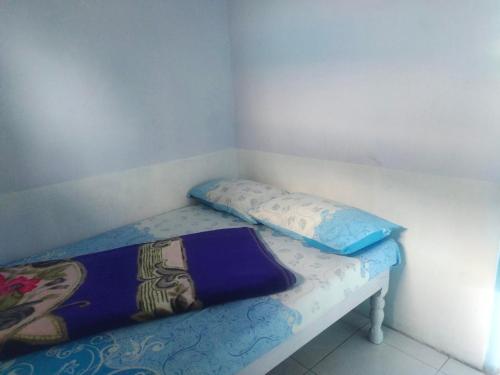 Homestay SHINTA Gunung Bromo