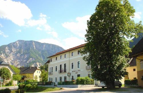 a large tree in front of a building with a mountain at Appartement zur Post in Ferlach