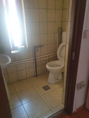 y baño con aseo y lavamanos. en Cazare - Accommodation, en Bucarest