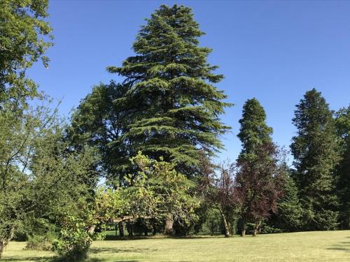 Galeriebild der Unterkunft Grande maison rénovée avec piscine privée et parc, idéale pour vacances en famille en Dordogne - FR-1-616-216 in Savignac-les-Églises