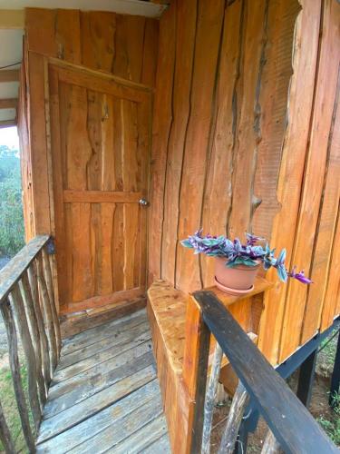 Lodge él Savegre Providencia – Photos 5