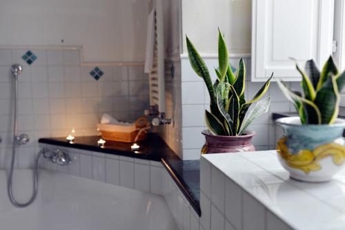 サレルノにあるB&B Sognavaのカウンターに鉢植えの植物2本が備わるバスルーム