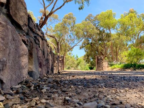 an old stone wall with trees in the background at Fernleigh Accommodation in Goughs Bay