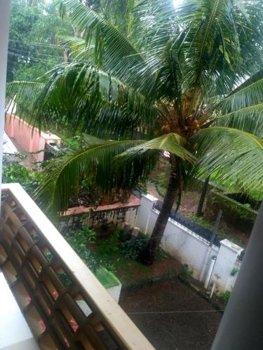 a view of a palm tree from a balcony at Ocean Stay in Nedumbassery