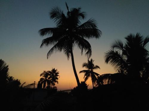 a silhouette of a palm tree at sunset at Ocean Stay in Nedumbassery