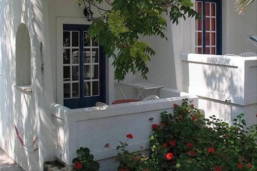 Κήπος έξω από το Athina Studios