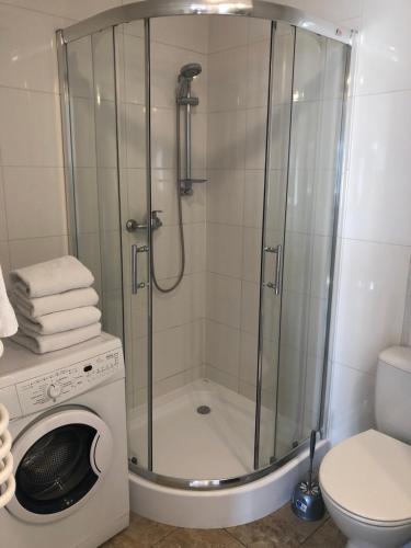 WaksmundApartament Miodowy Waksmund-NowyTarg的带淋浴的浴室和洗衣机。