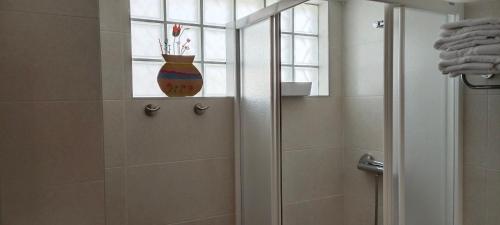 a bathroom with a shower with a vase in a window at Apartamento turístico Gala in Dicastillo
