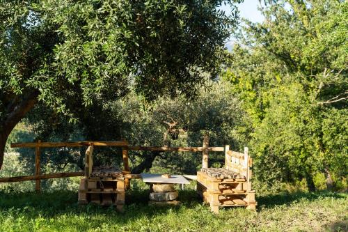 un giardino con tavolo, recinzione e alberi di U Saccataro Casa Vacanze a Ogliastro Cilento