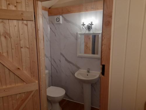 een badkamer met een wit toilet en een wastafel bij Top of the Rock Glamping in Trefeglwys