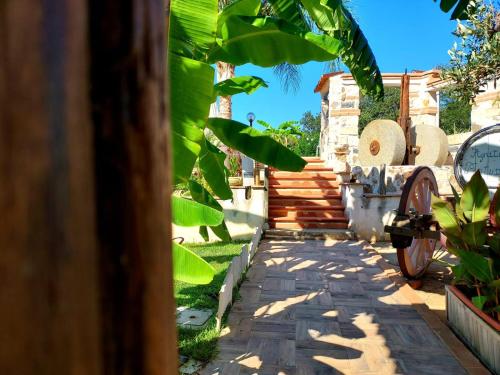 Fotografie z fotogalerie ubytování Agriturismo Pinturicchio v destinaci Capo Vaticano