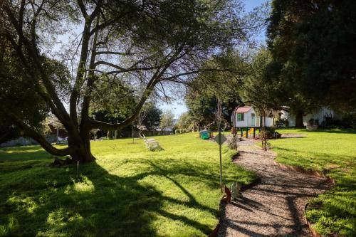 a path in a field with trees and a house at Yarra Gables in Healesville