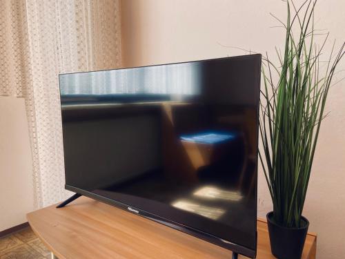 een flatscreen-tv zittend op een tafel naast een plant bij Forsterhof in Pottenstein