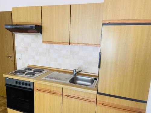 a kitchen with a sink and a stove and cabinets at Forsterhof in Pottenstein