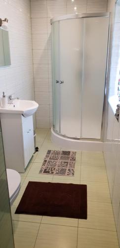 a bathroom with a shower and a sink at Chochołowsko-Witowski Wypoczynek in Witów