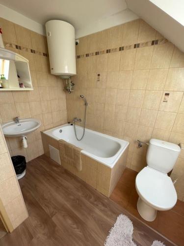 Apartment Dehtářeにあるバスルーム