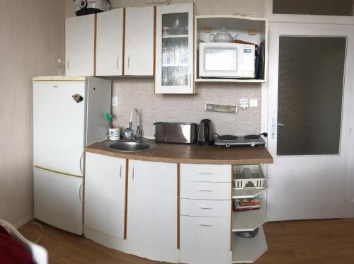 Kuchyň nebo kuchyňský kout v ubytování Apartman Elen