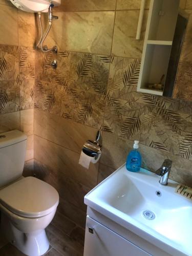 Kúpeľňa v ubytovaní Tilia Cottage Banjska stena