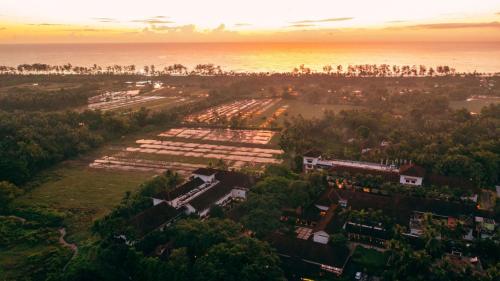 an aerial view of a plantation with the ocean in the background at Alila Diwa Goa - A Hyatt Brand in Majorda