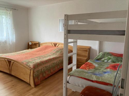 a bedroom with a bunk bed and a ladder at Ferienwohnung Tettnang in Tettnang